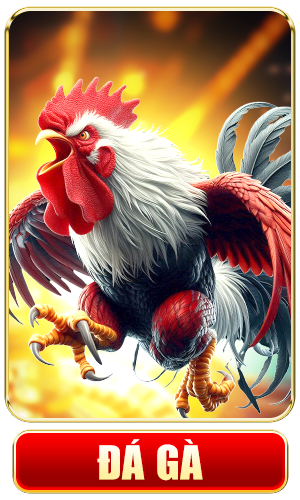 đá gà f8bet